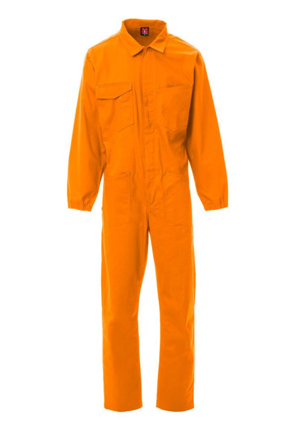 Payperwear COVER