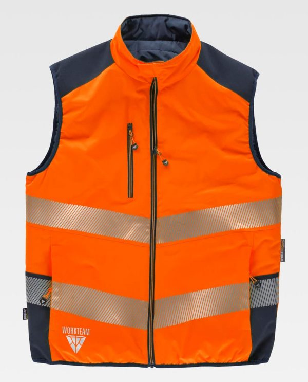 WORKTEAM C8250