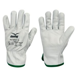 Gionny Wings PILOT 55TOP