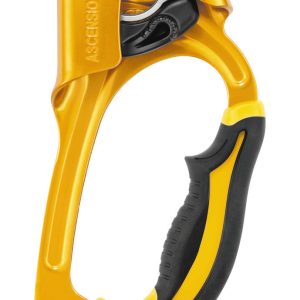 Petzl ASCENSION